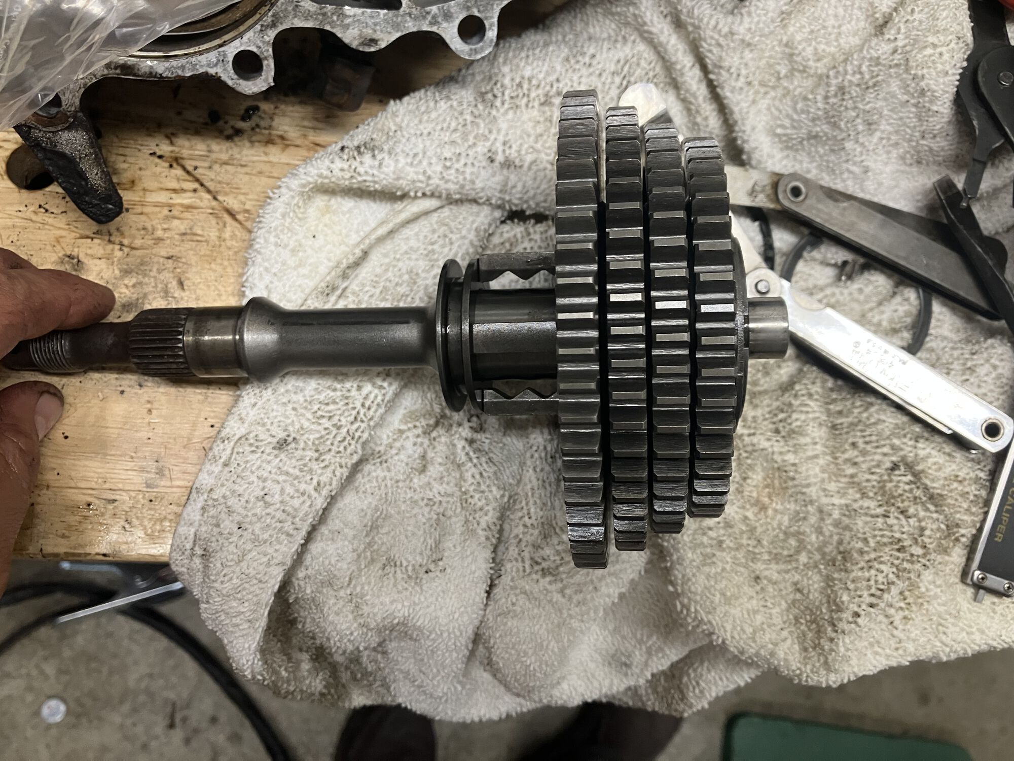 Forum member supplied image with no explanatory text