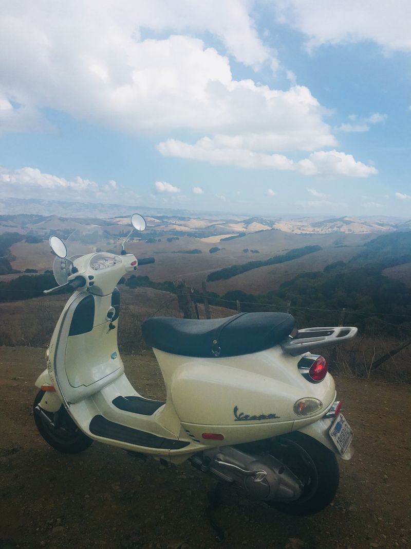 Forum member supplied image with no explanatory text