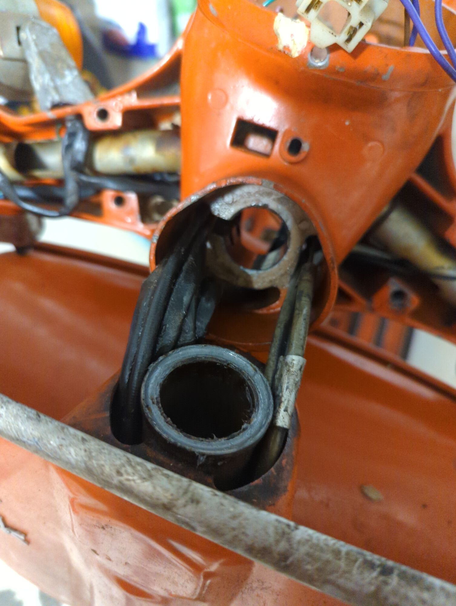 Forum member supplied image with no explanatory text