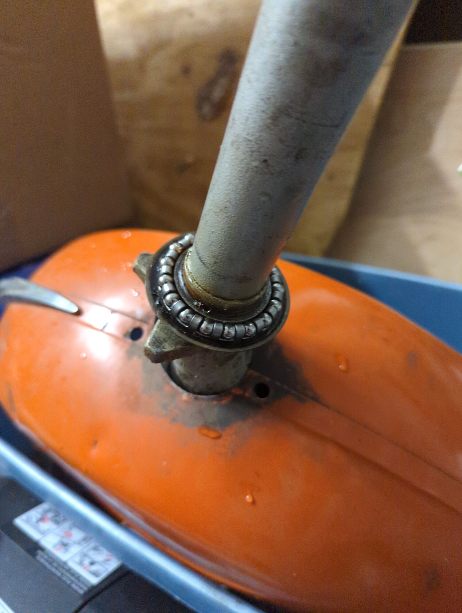 Forum member supplied image with no explanatory text