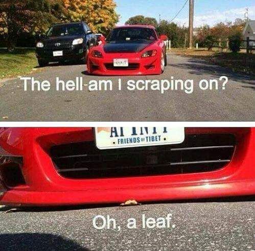 Forum member supplied image with no explanatory text