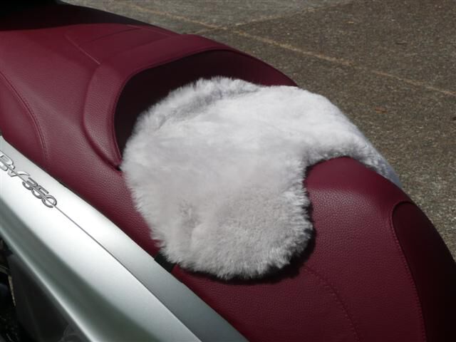 Forum member supplied image with no explanatory text