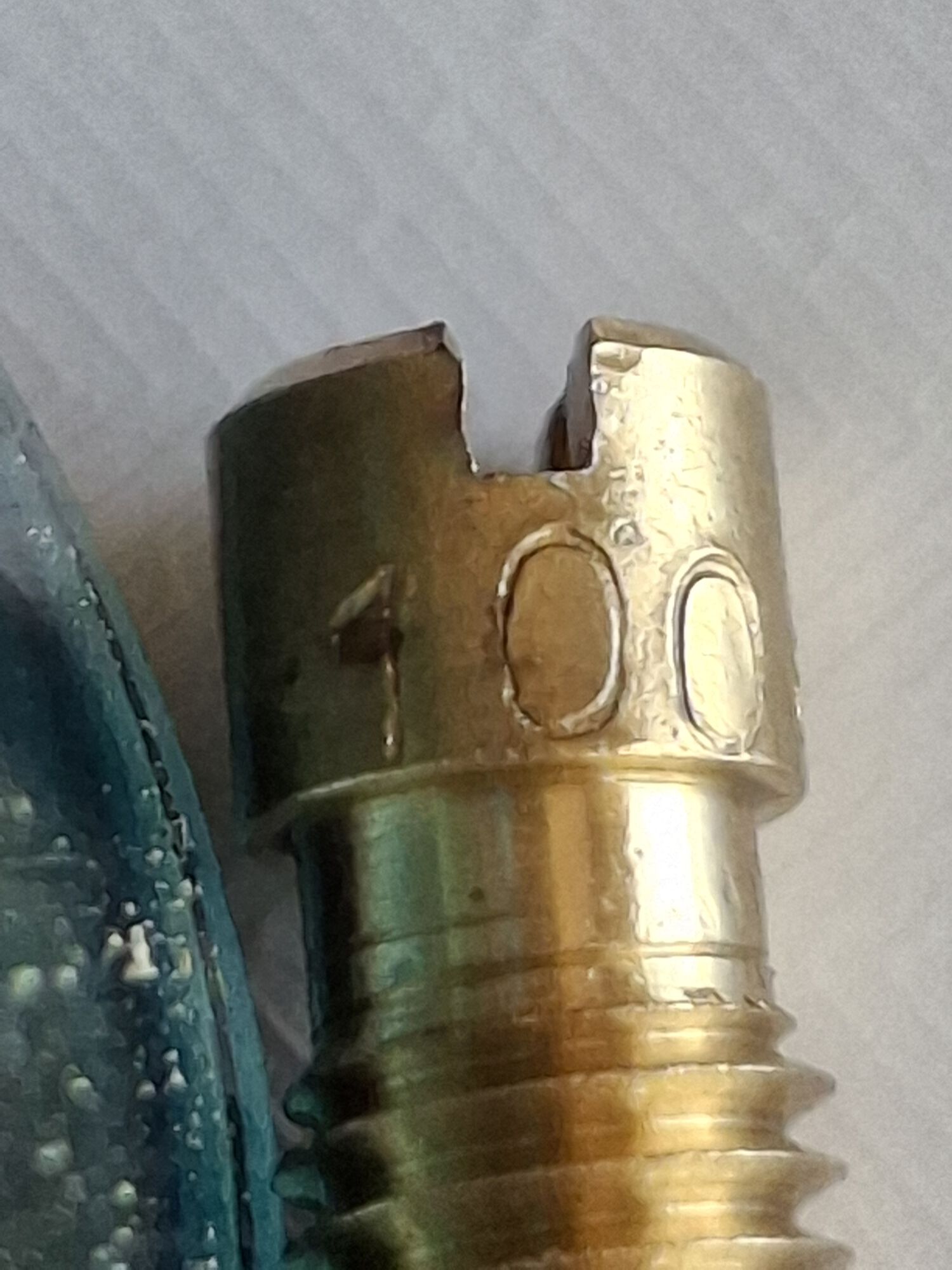 Forum member supplied image with no explanatory text