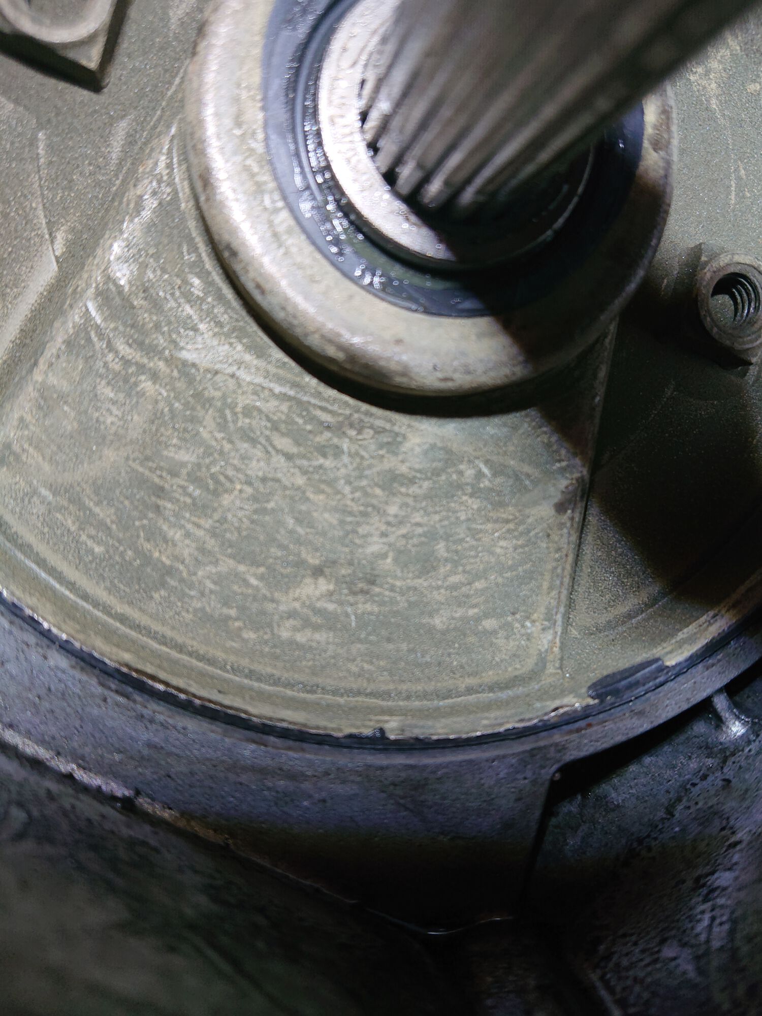 Forum member supplied image with no explanatory text