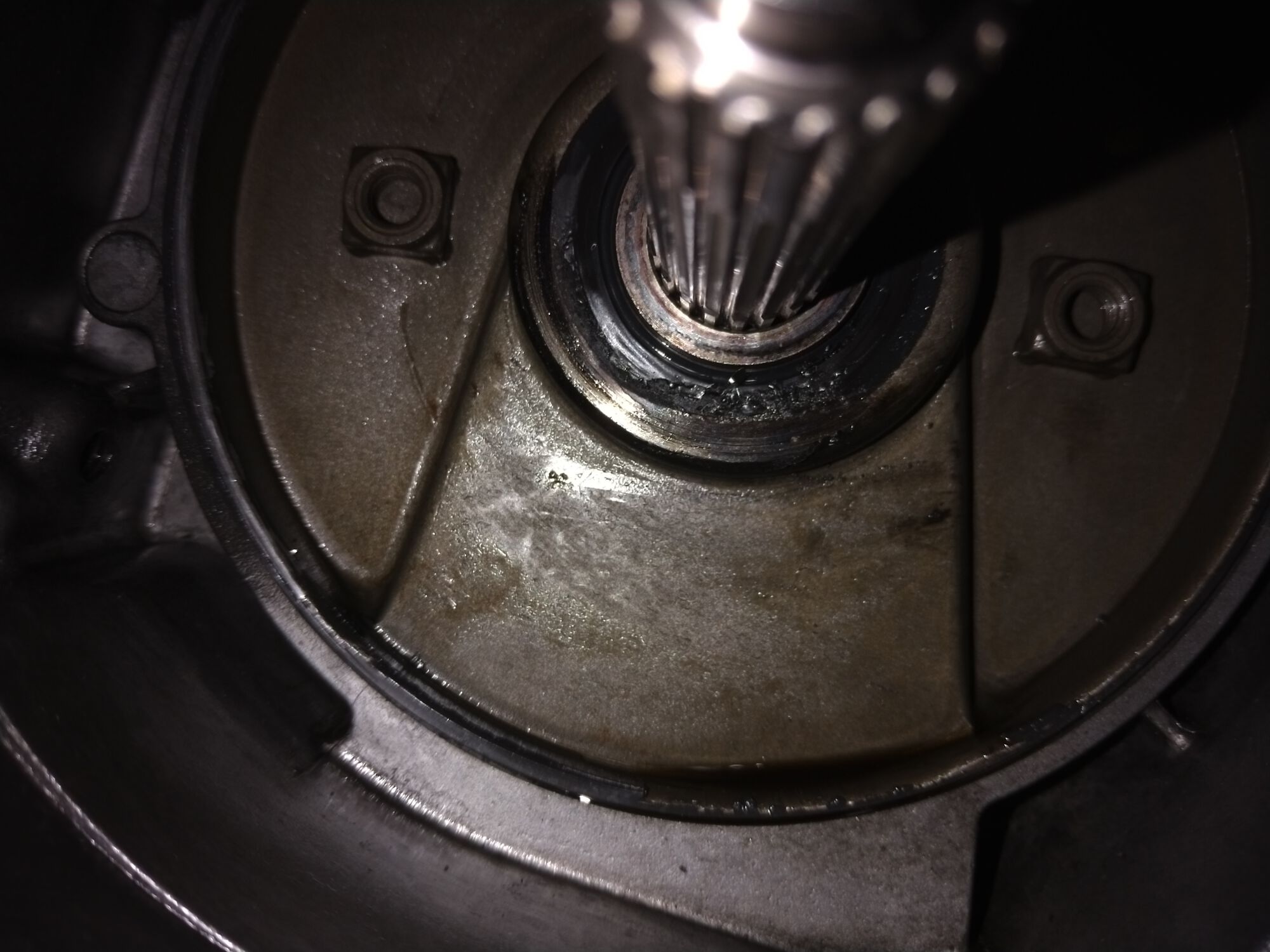 Forum member supplied image with no explanatory text