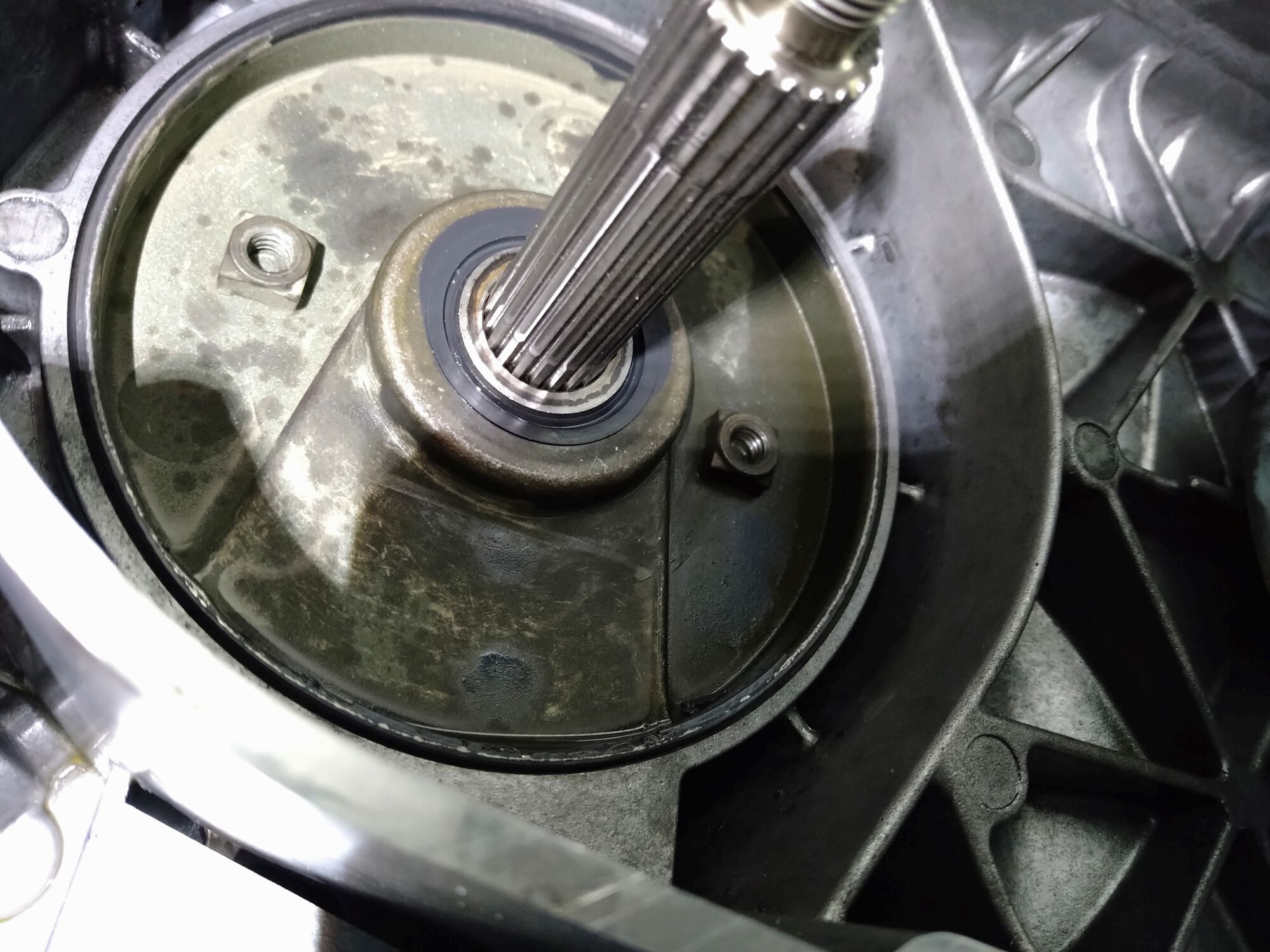 Forum member supplied image with no explanatory text