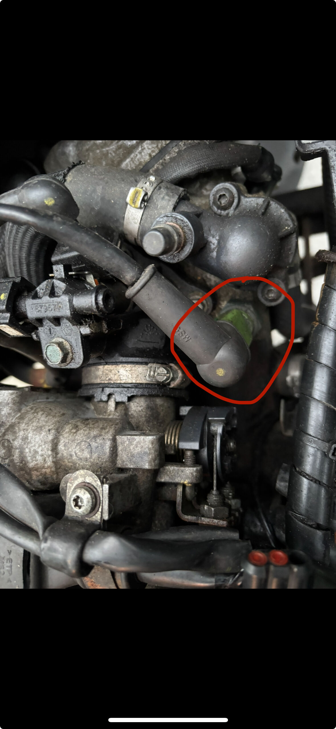 Forum member supplied image with no explanatory text