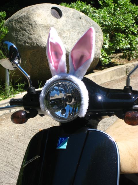 Forum member supplied image with no explanatory text