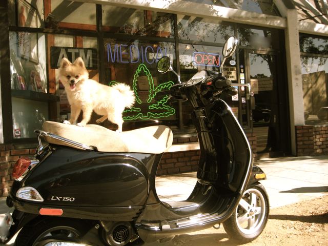 Forum member supplied image with no explanatory text