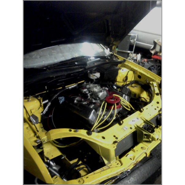 Forum member supplied image with no explanatory text