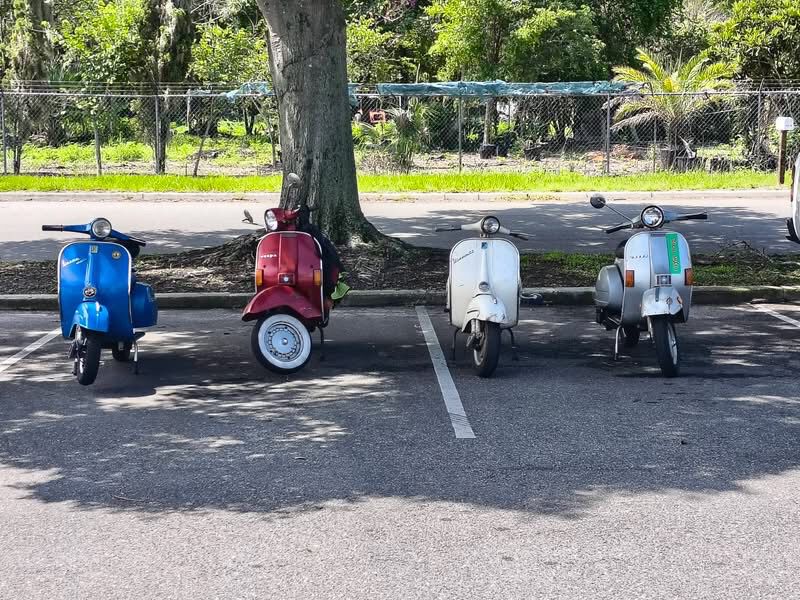 Forum member supplied image with no explanatory text