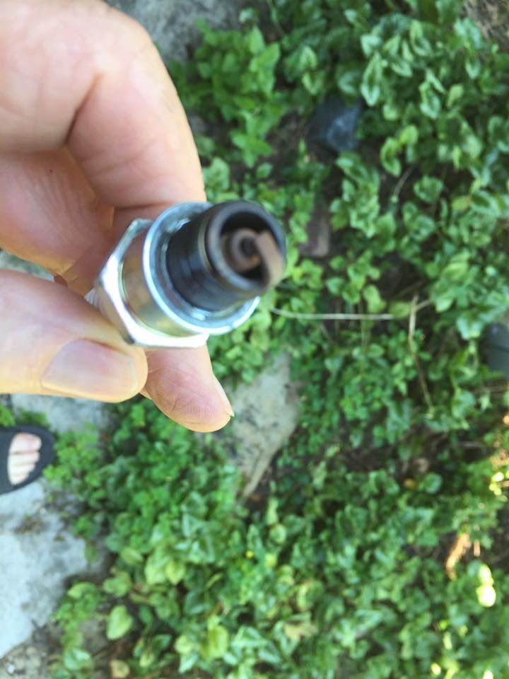 Forum member supplied image with no explanatory text