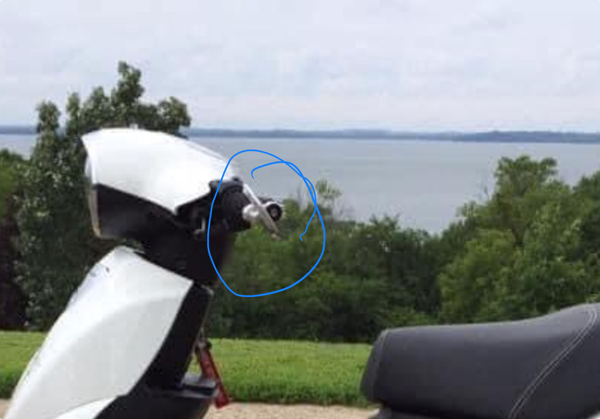 Forum member supplied image with no explanatory text