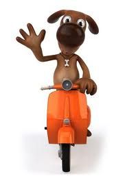 Forum member supplied image with no explanatory text