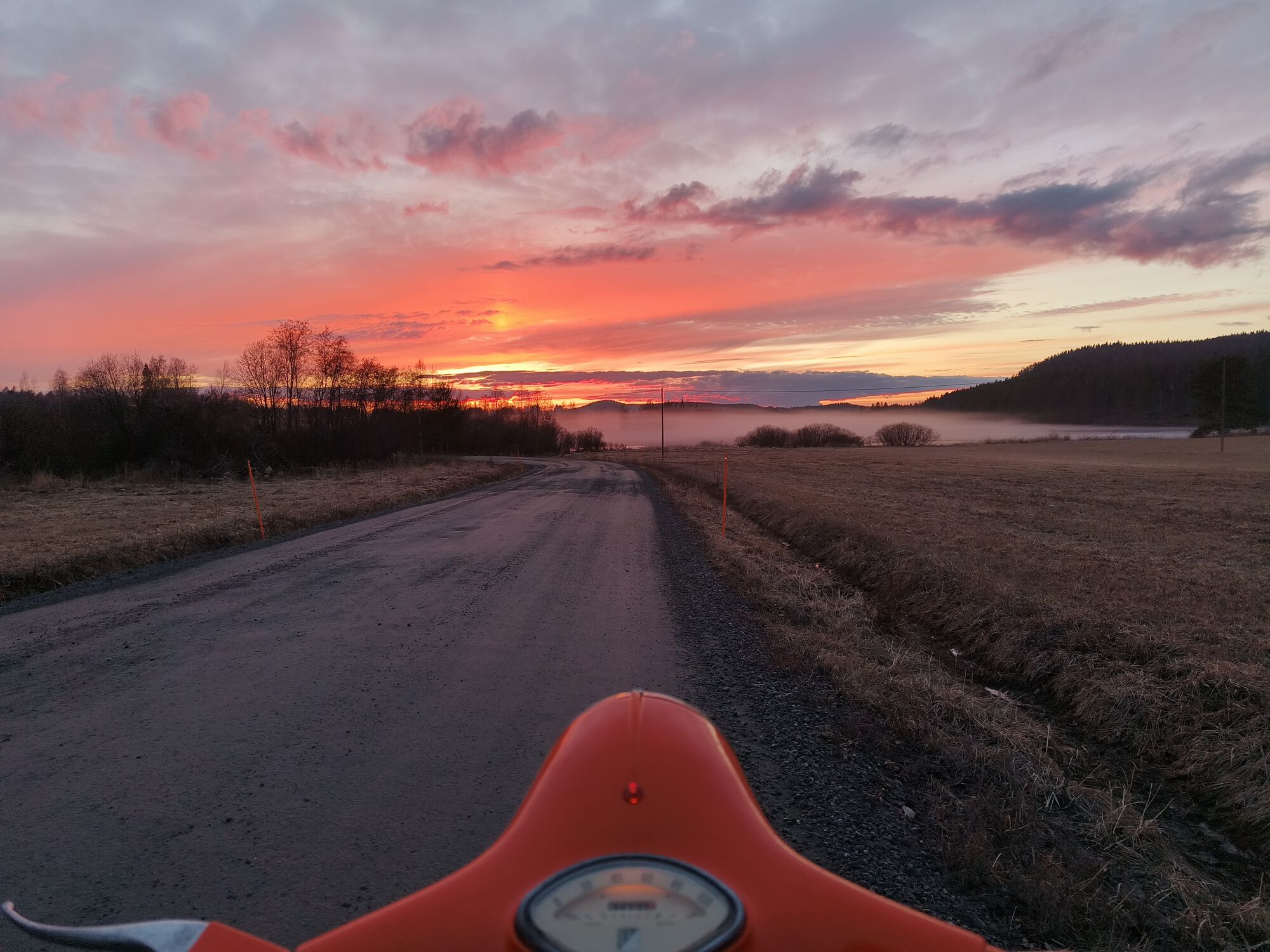 Forum member supplied image with no explanatory text