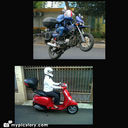 @flashrider avatar