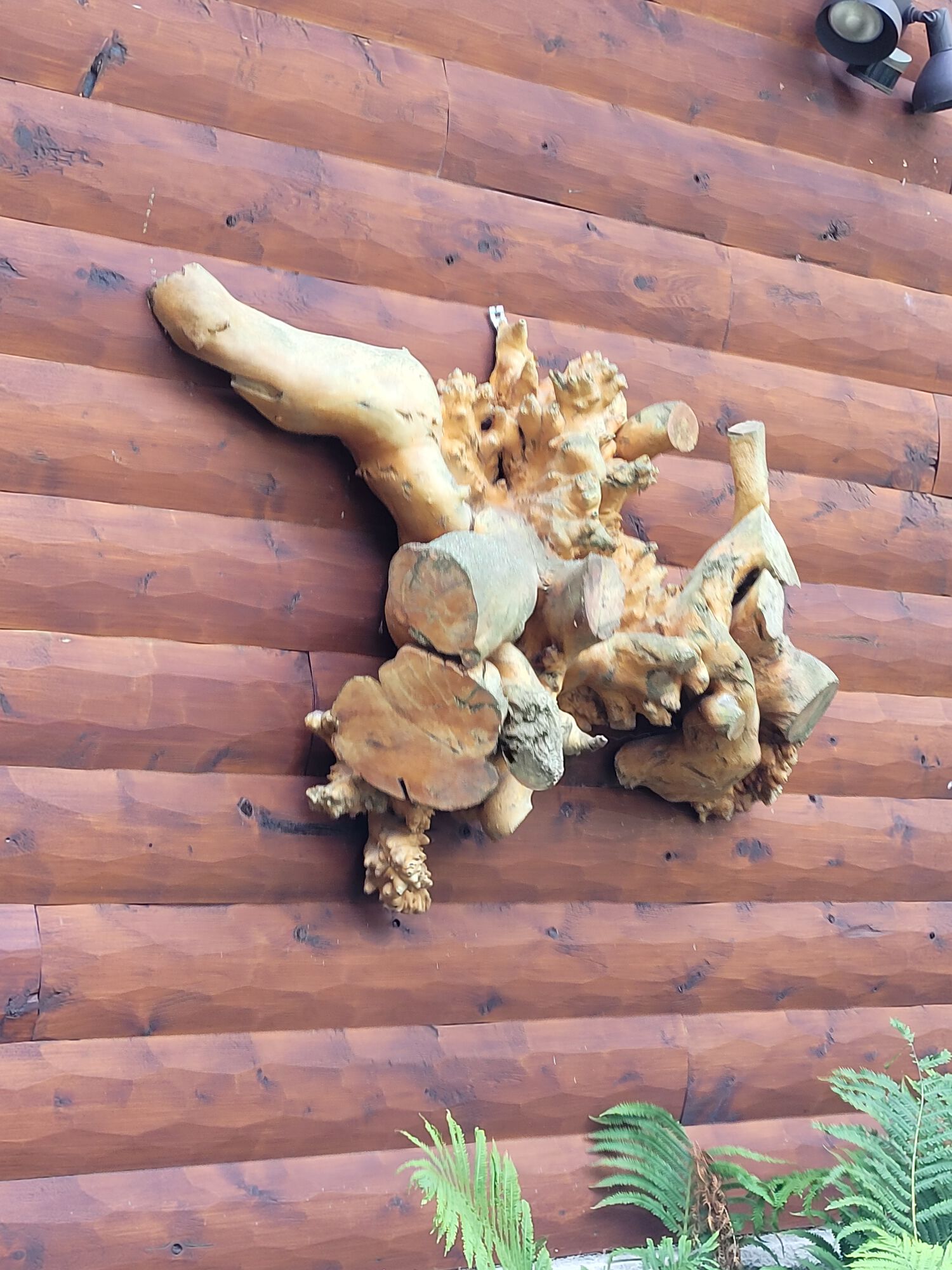 Small example of driftwood art