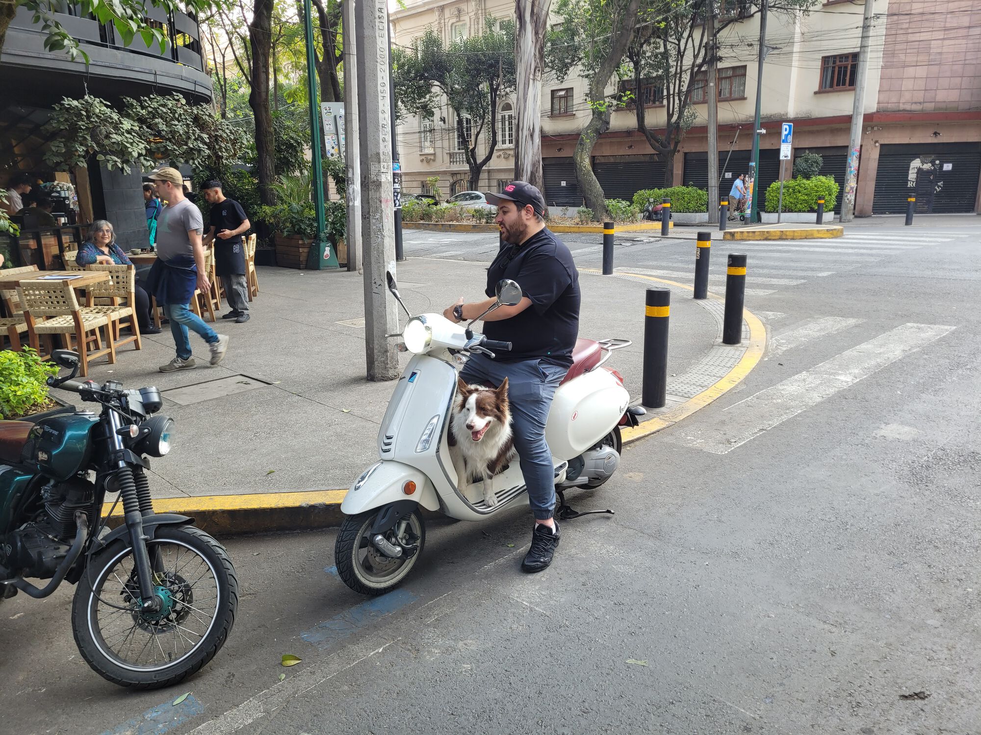 Forum member supplied image with no explanatory text