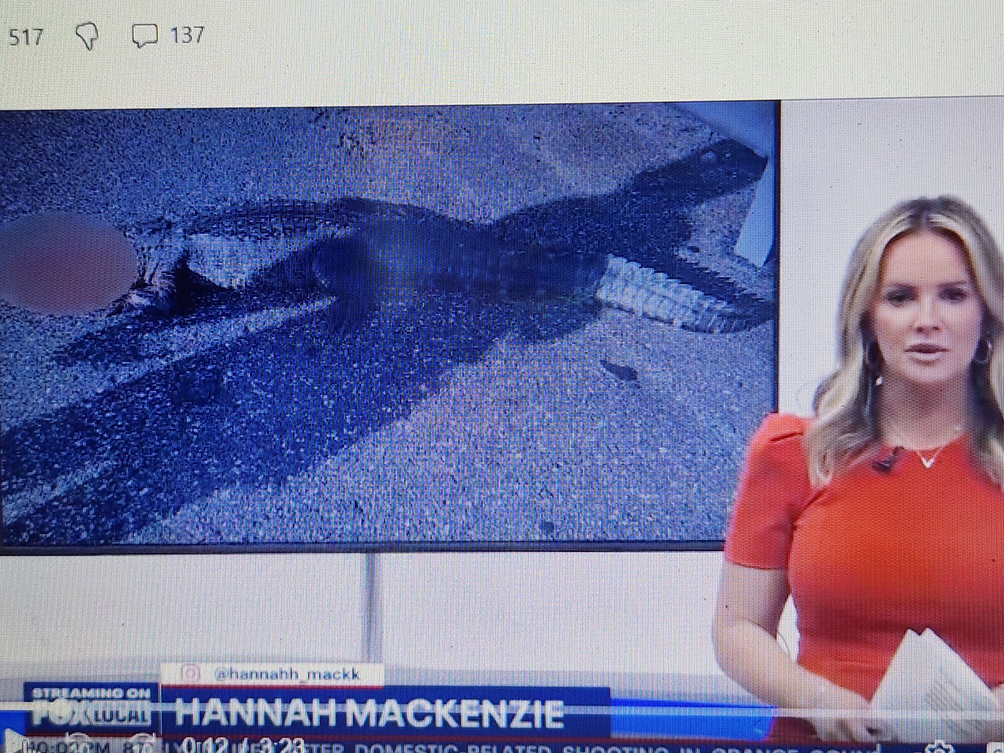 Forum member supplied image with no explanatory text