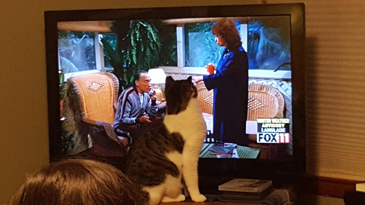 Not bad until he started trying to catch people. Better than the show anyway....