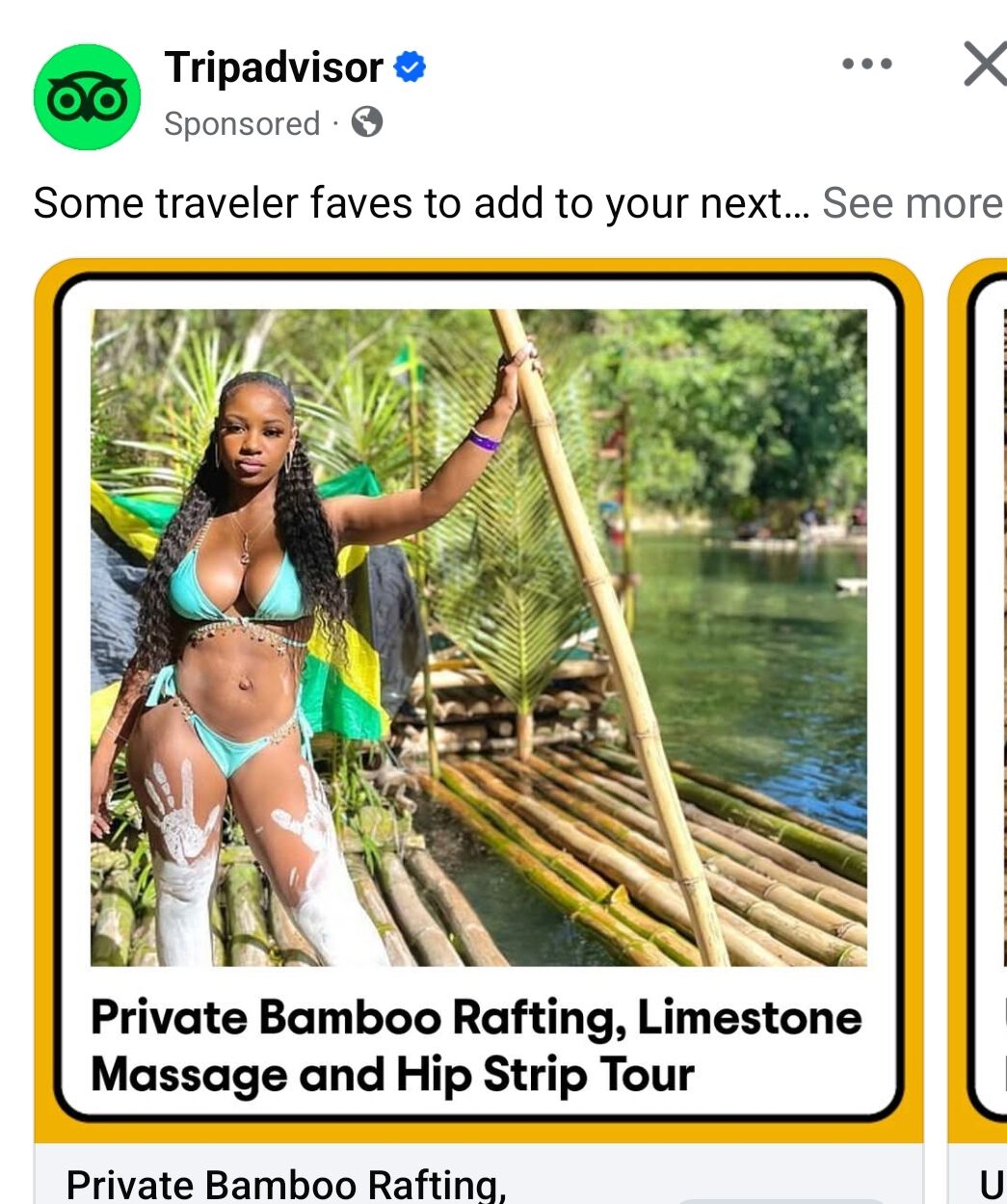 Forum member supplied image with no explanatory text