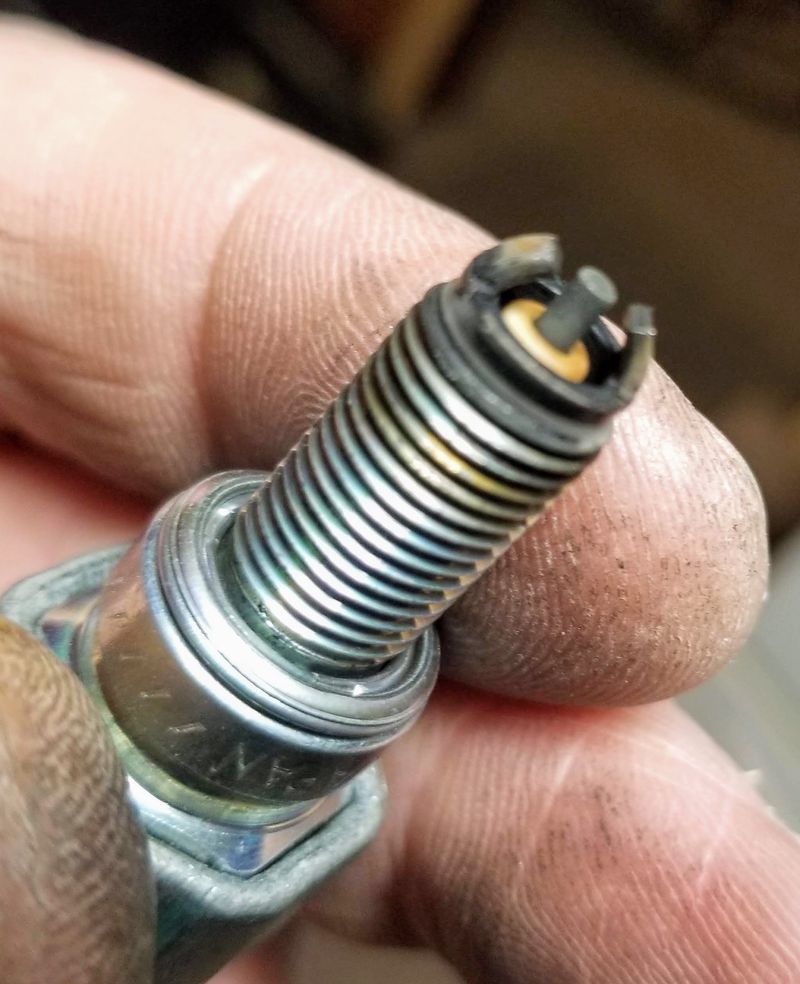 Forum member supplied image with no explanatory text