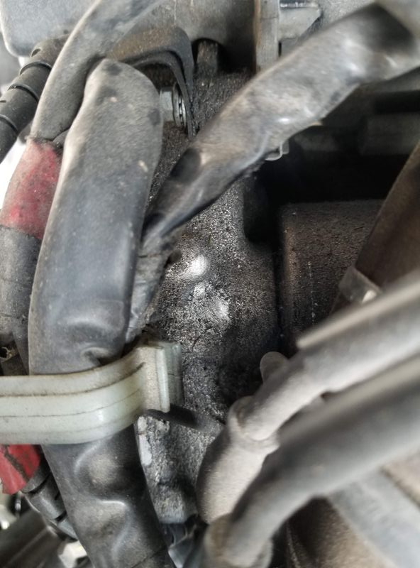 Forum member supplied image with no explanatory text