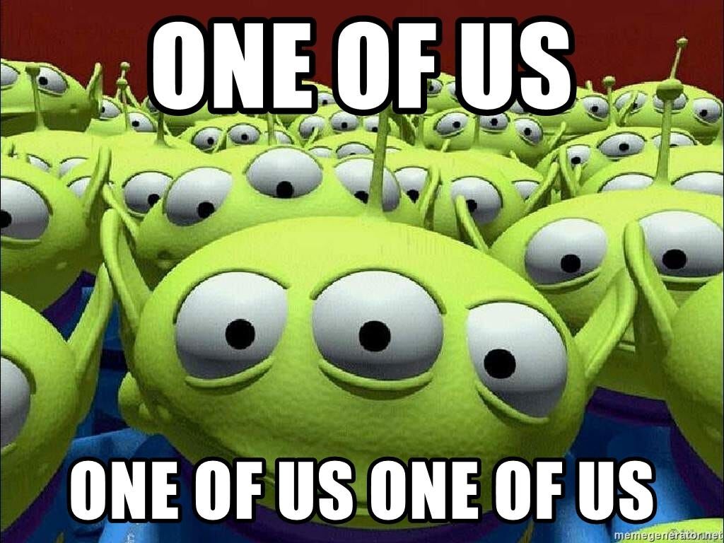 Forum member supplied image with no explanatory text