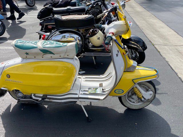 I like this seat. It really ties the room together.