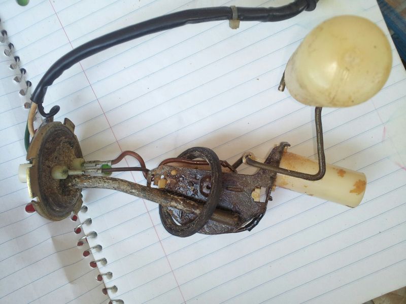 Forum member supplied image with no explanatory text
