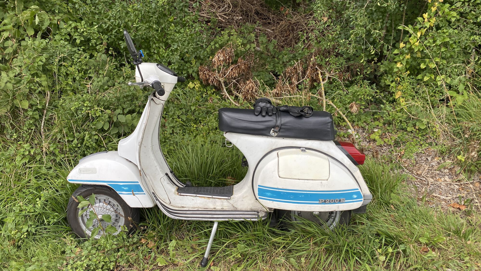 Forum member supplied image with no explanatory text