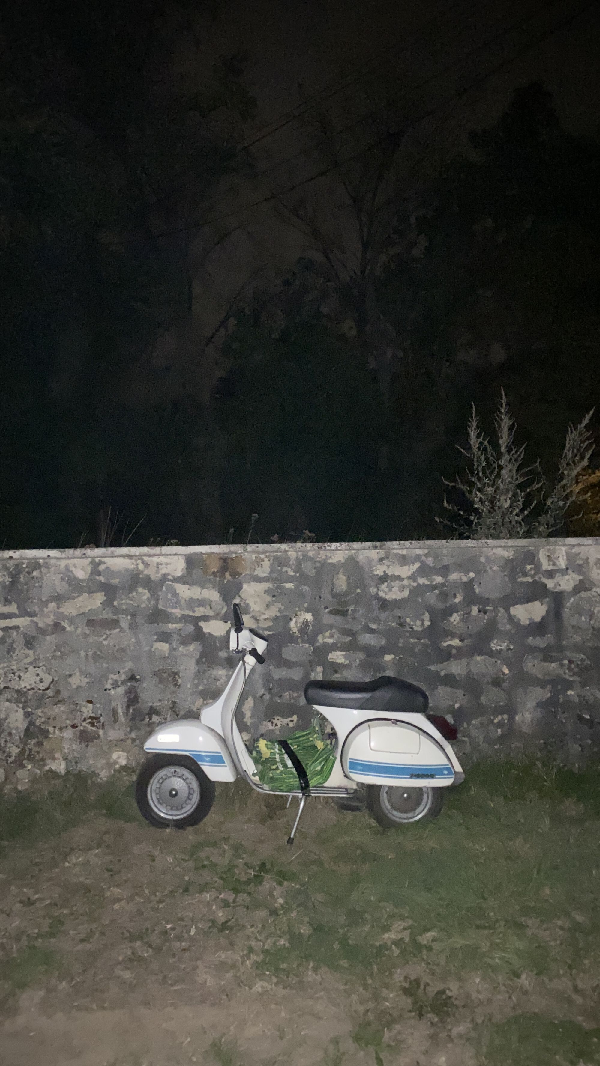 Forum member supplied image with no explanatory text
