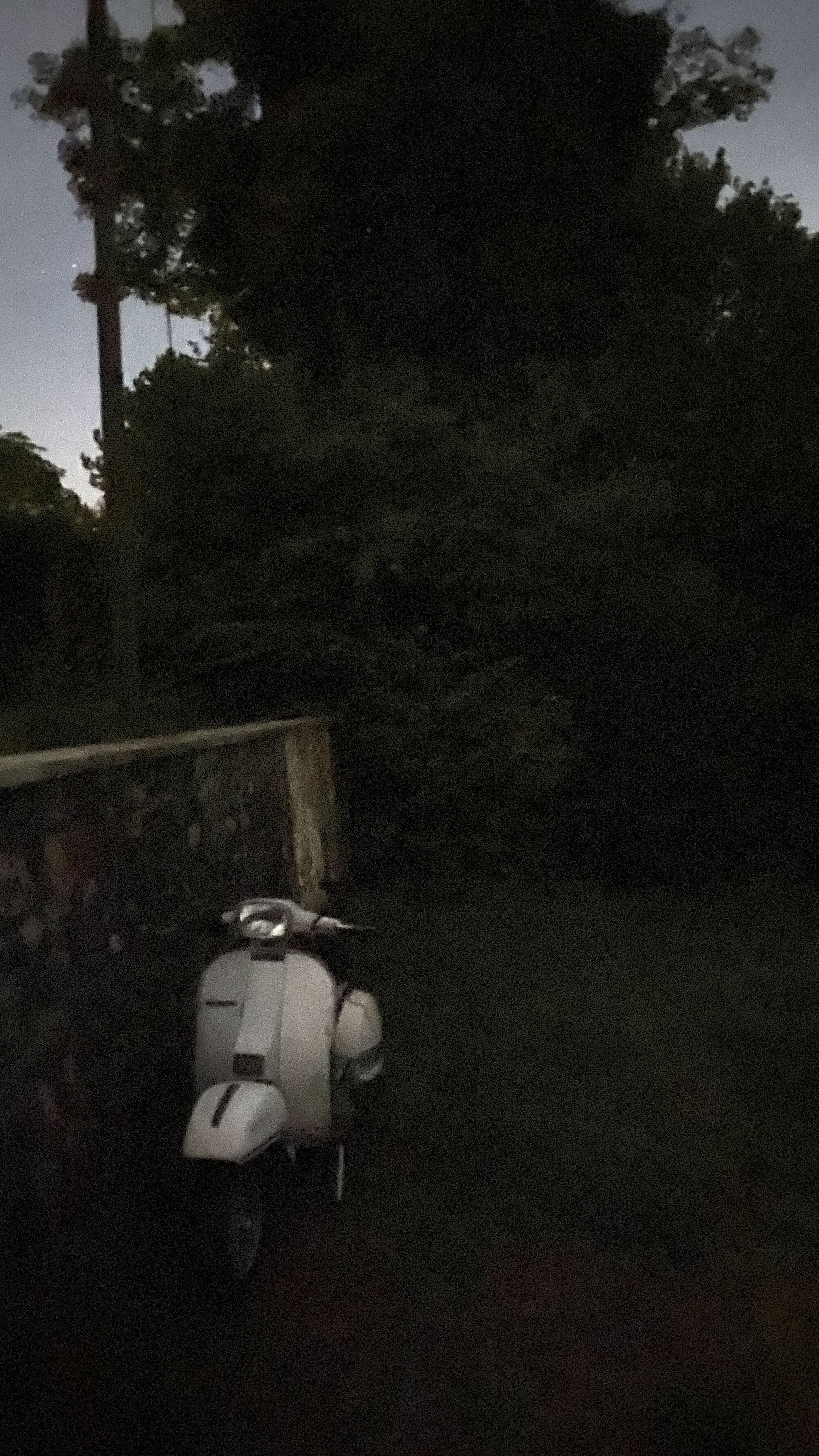 Forum member supplied image with no explanatory text