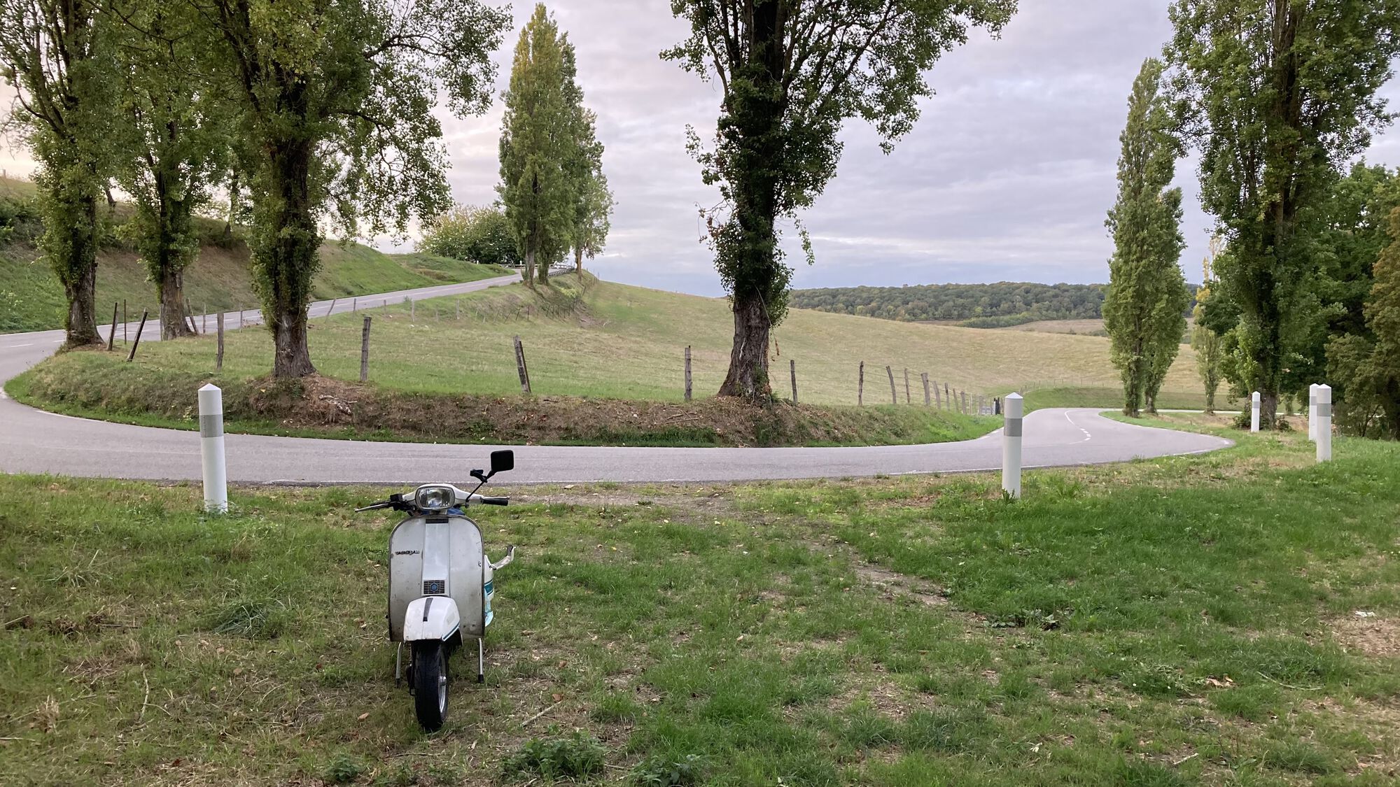 Twisties