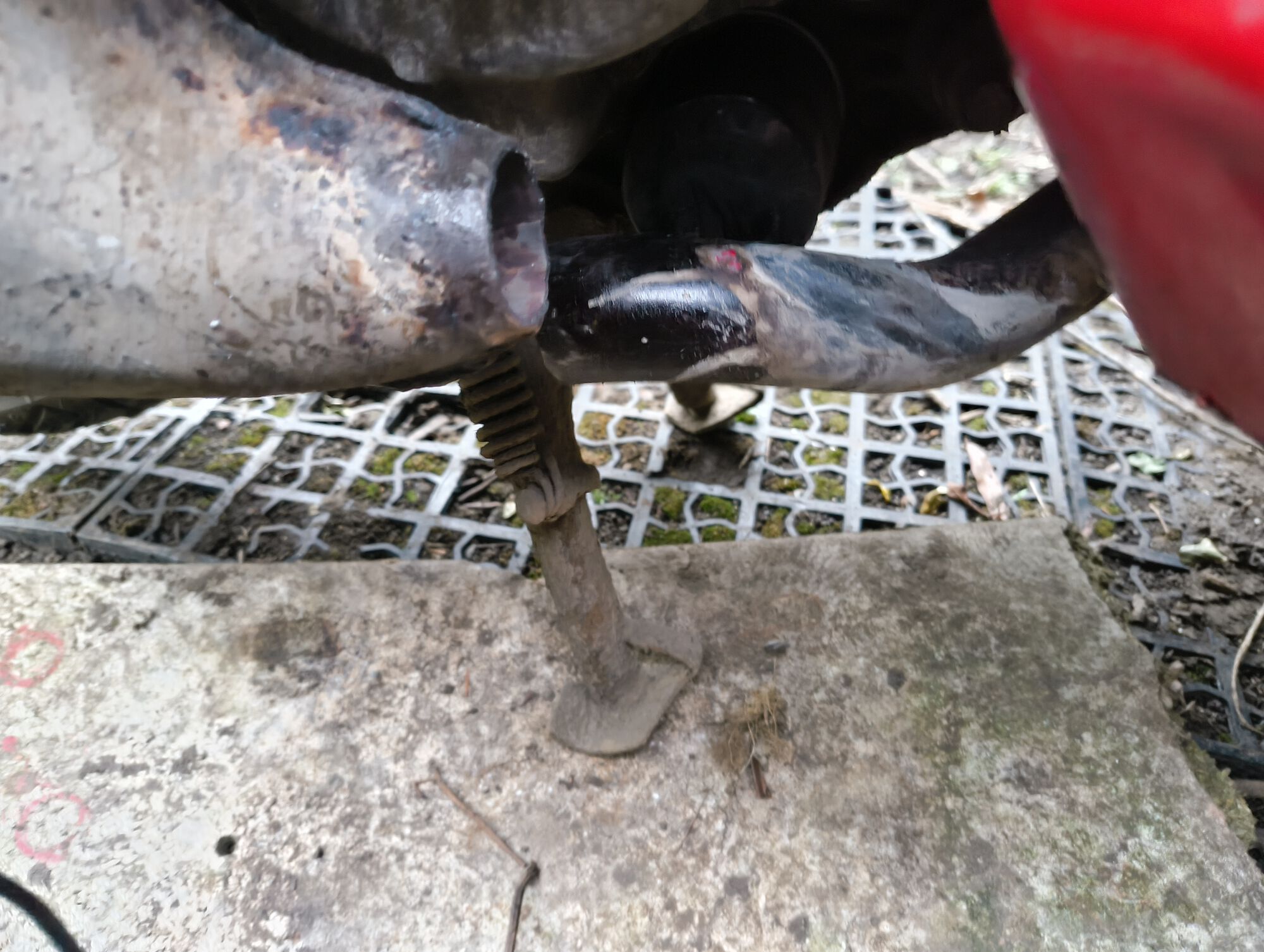 Forum member supplied image with no explanatory text