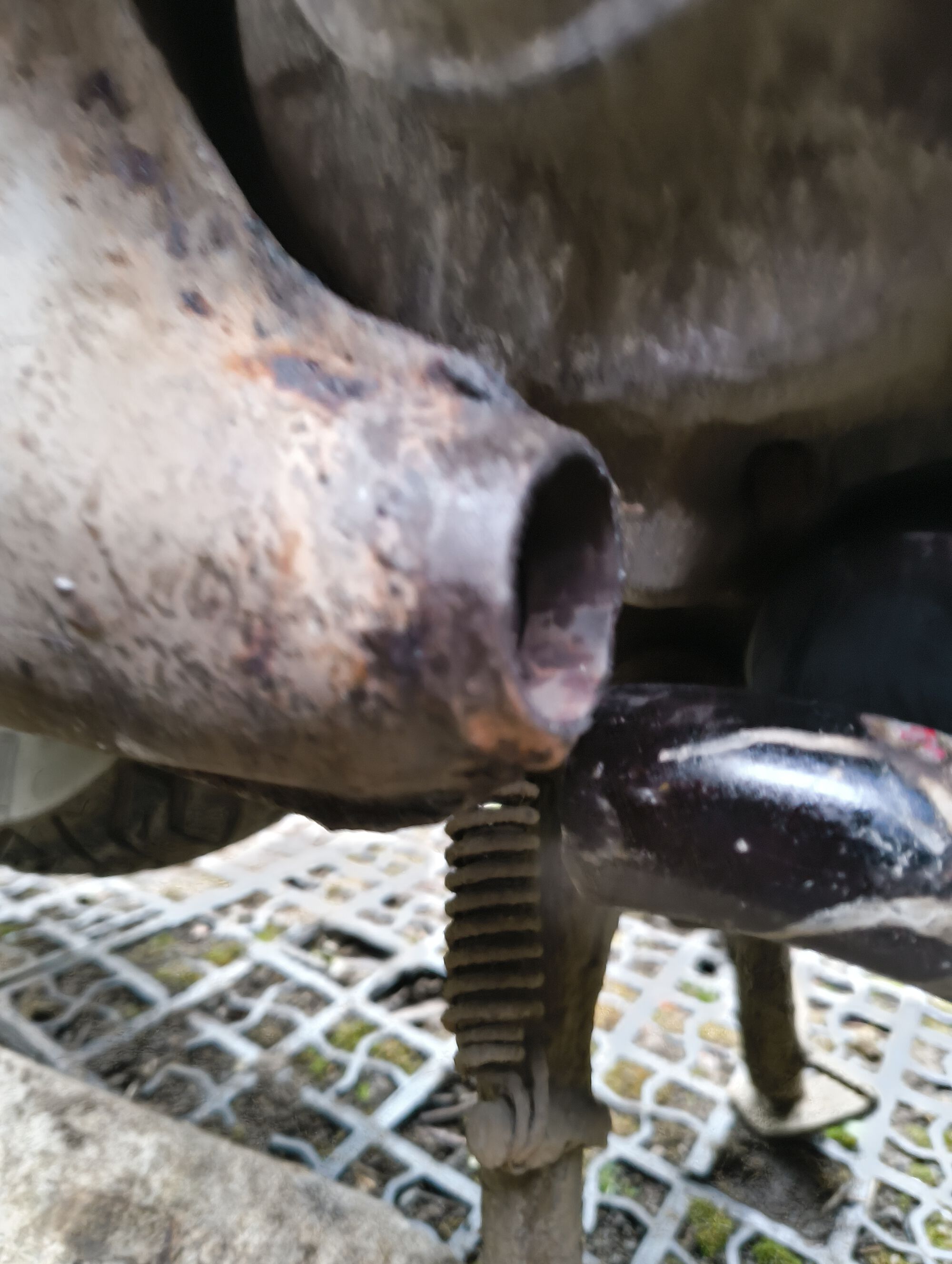 Forum member supplied image with no explanatory text