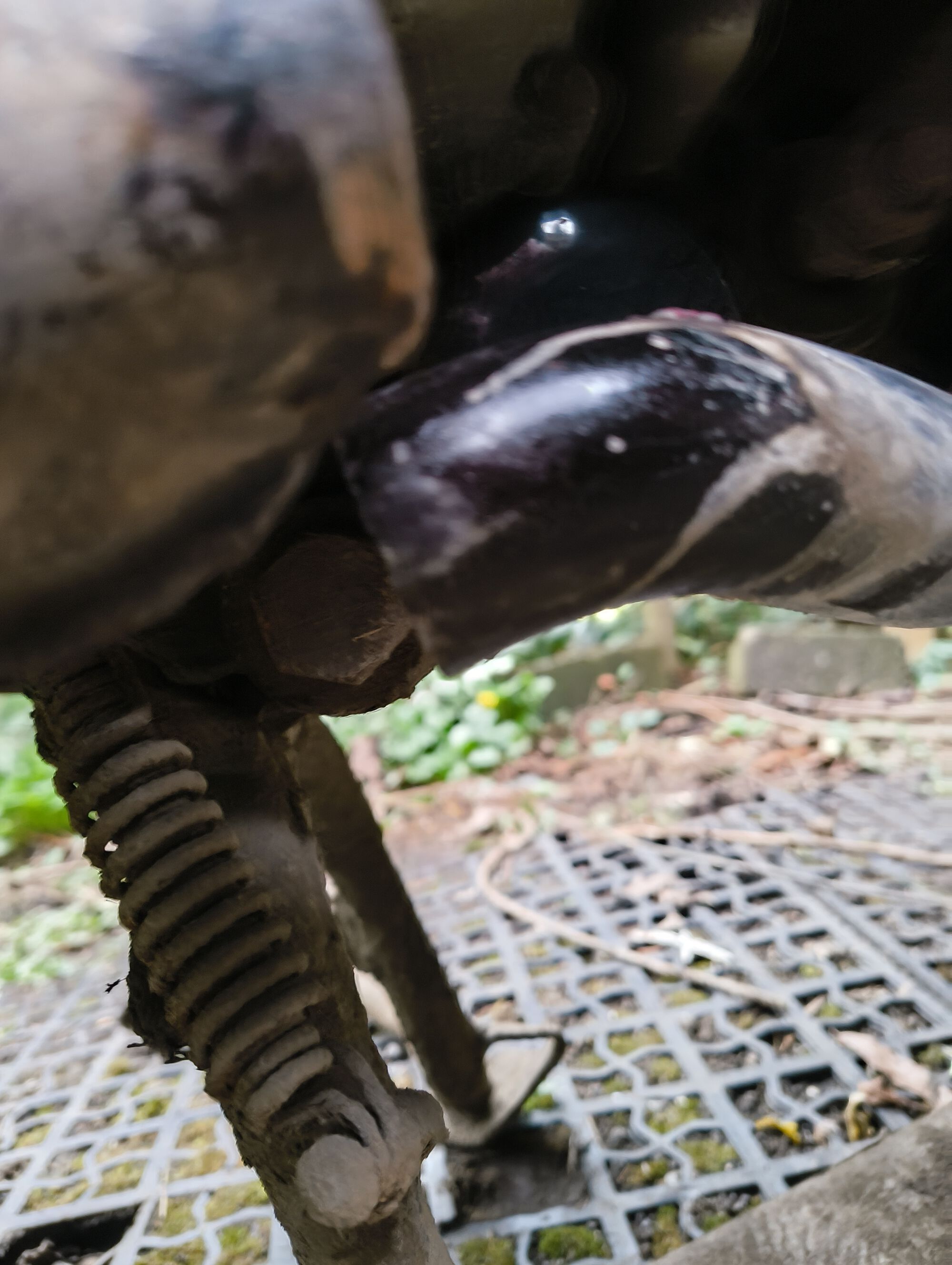 Forum member supplied image with no explanatory text