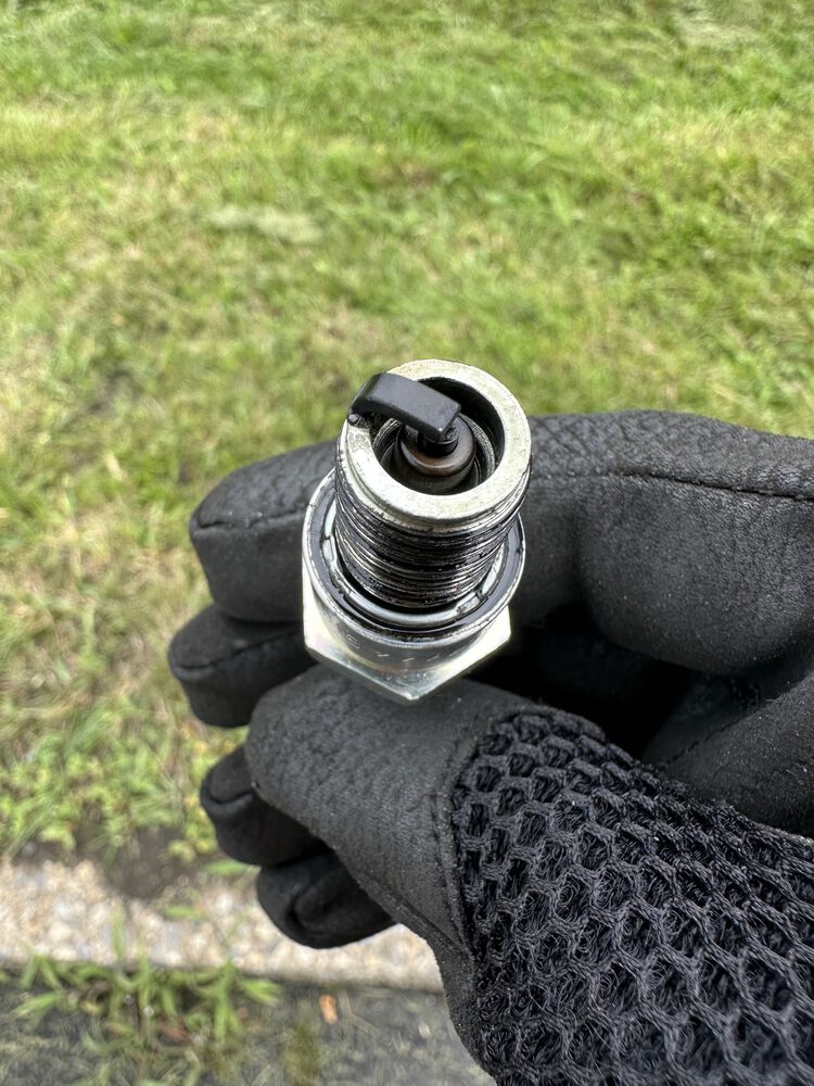 Not quite as black and wet as before