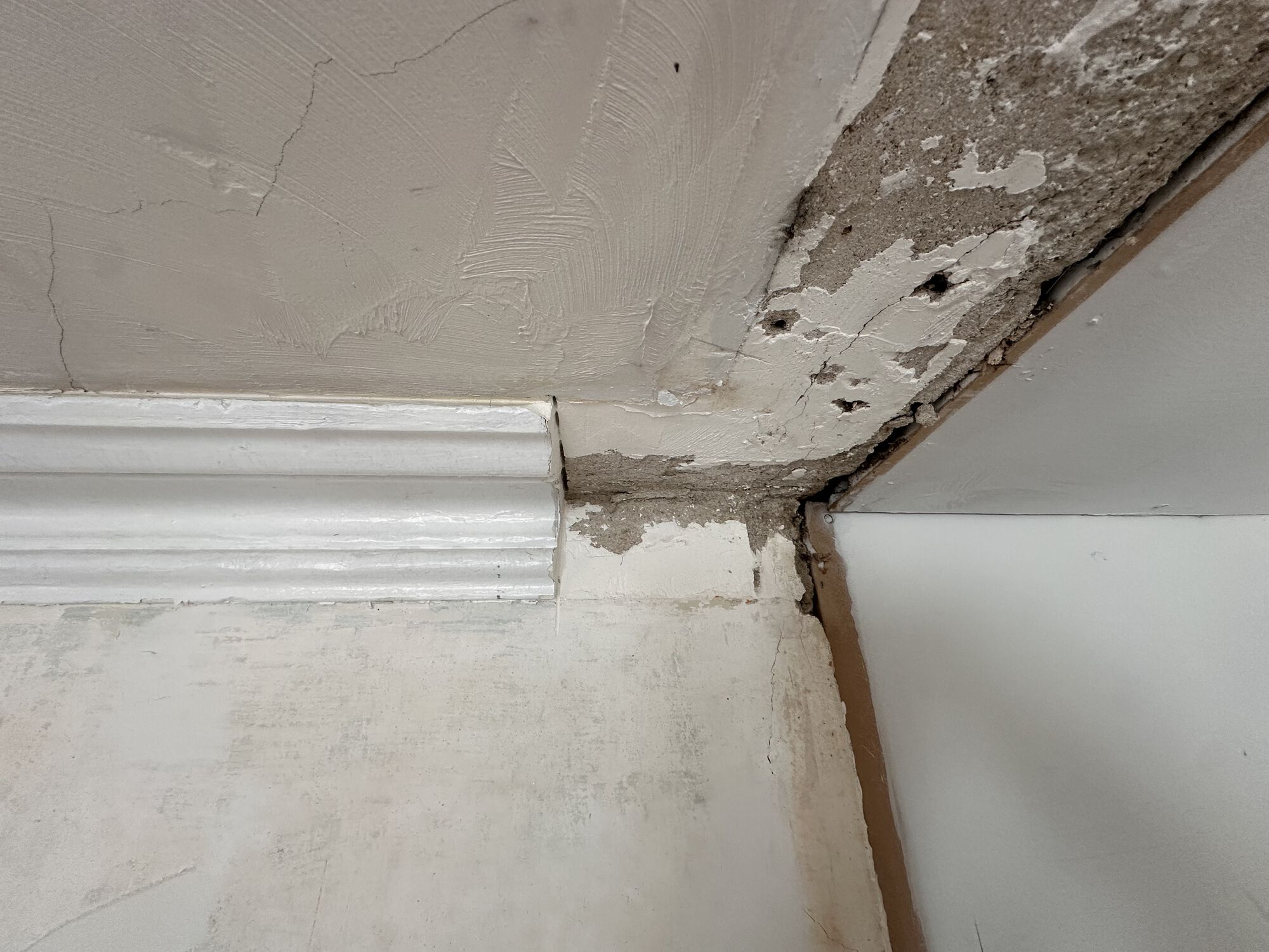 Cut this piece out to get a good clean template