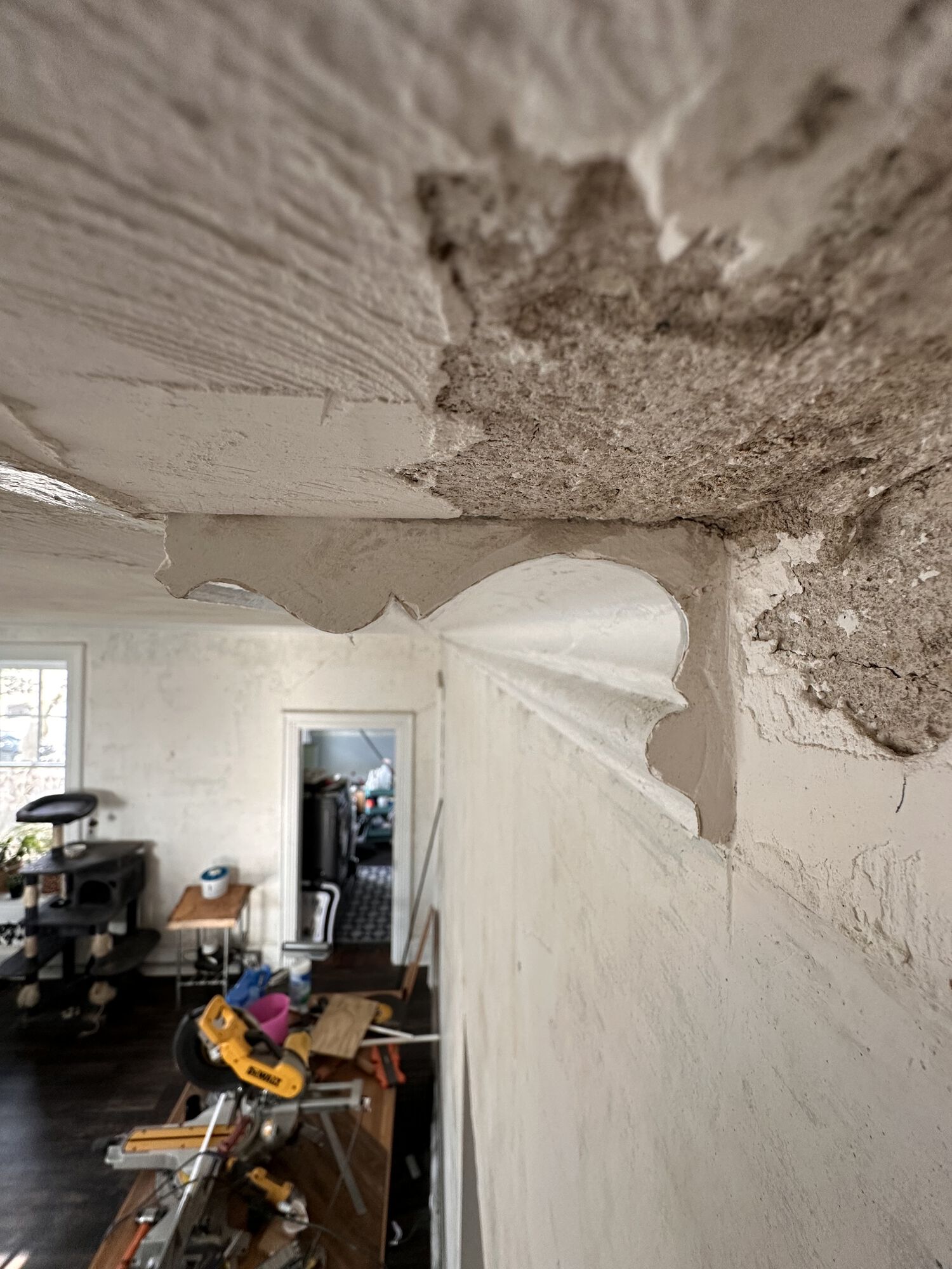 Classic crown. Historic even.