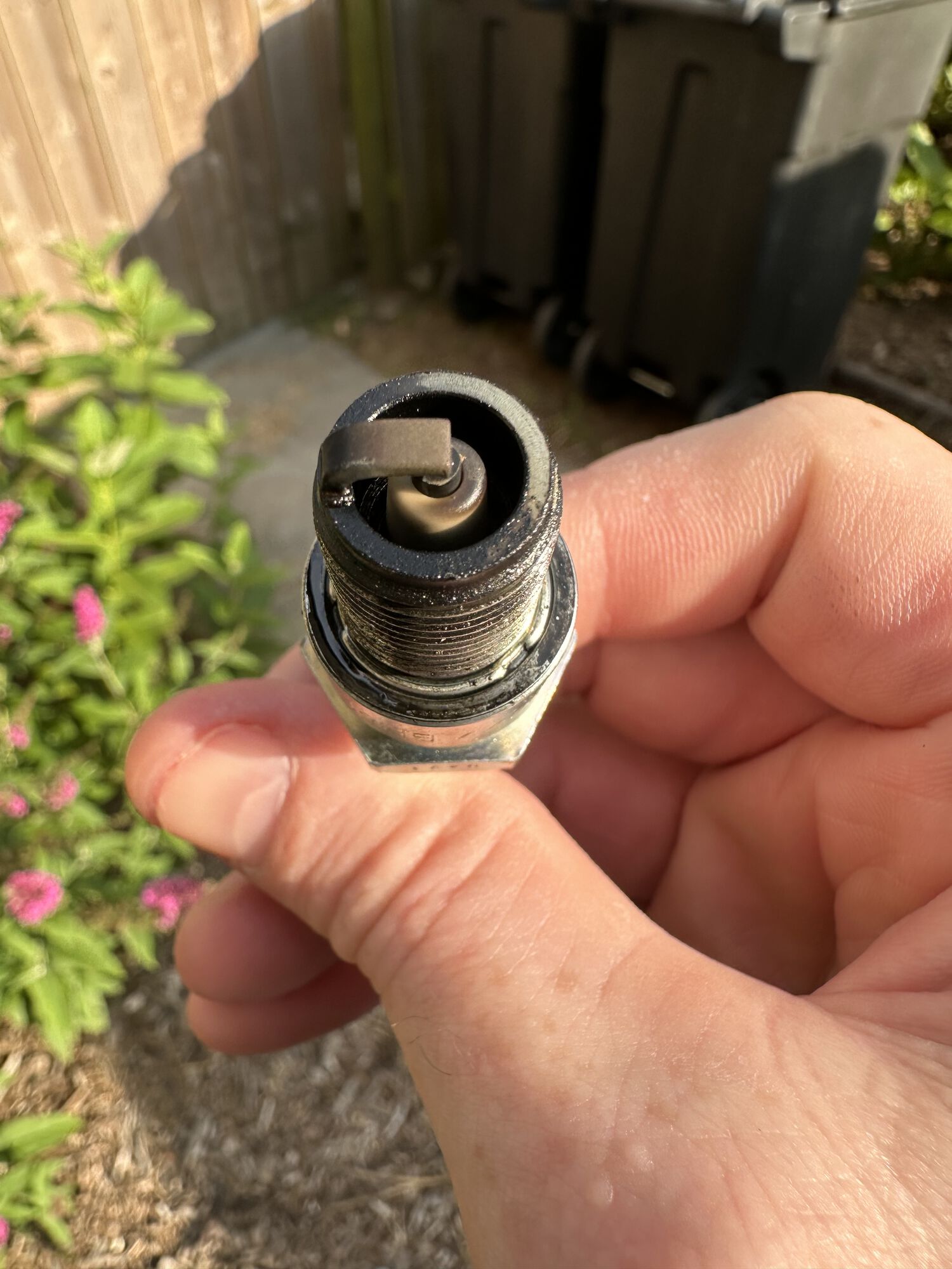 8 plug.