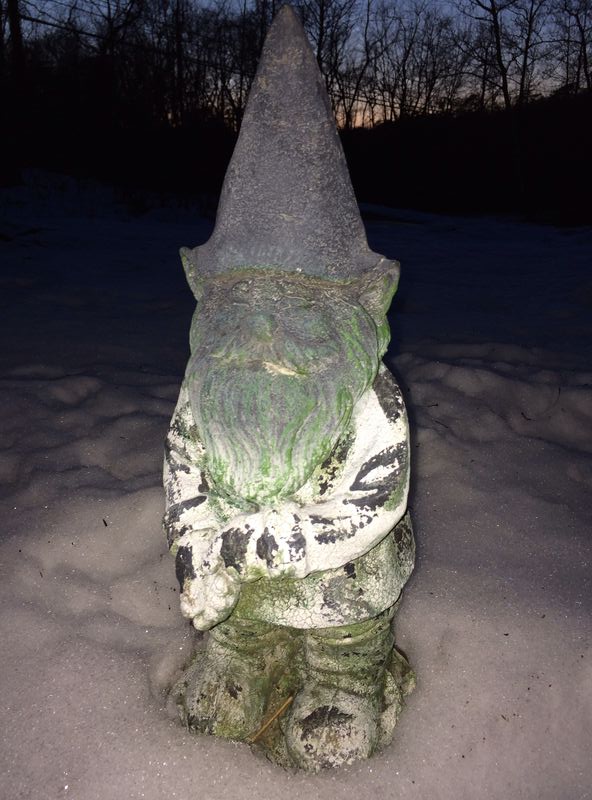 Forum member supplied image with no explanatory text