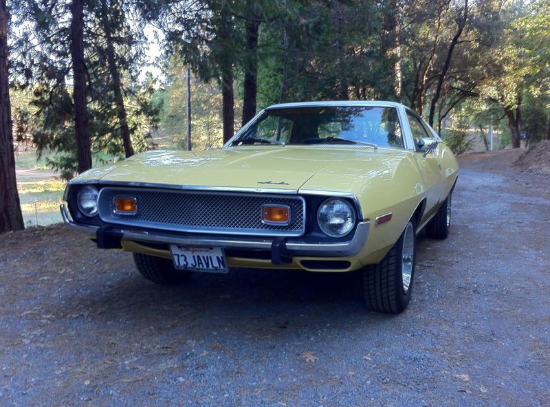 Forum member supplied image with no explanatory text