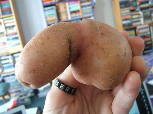 Here is a dicktater. What regime I am not sure
