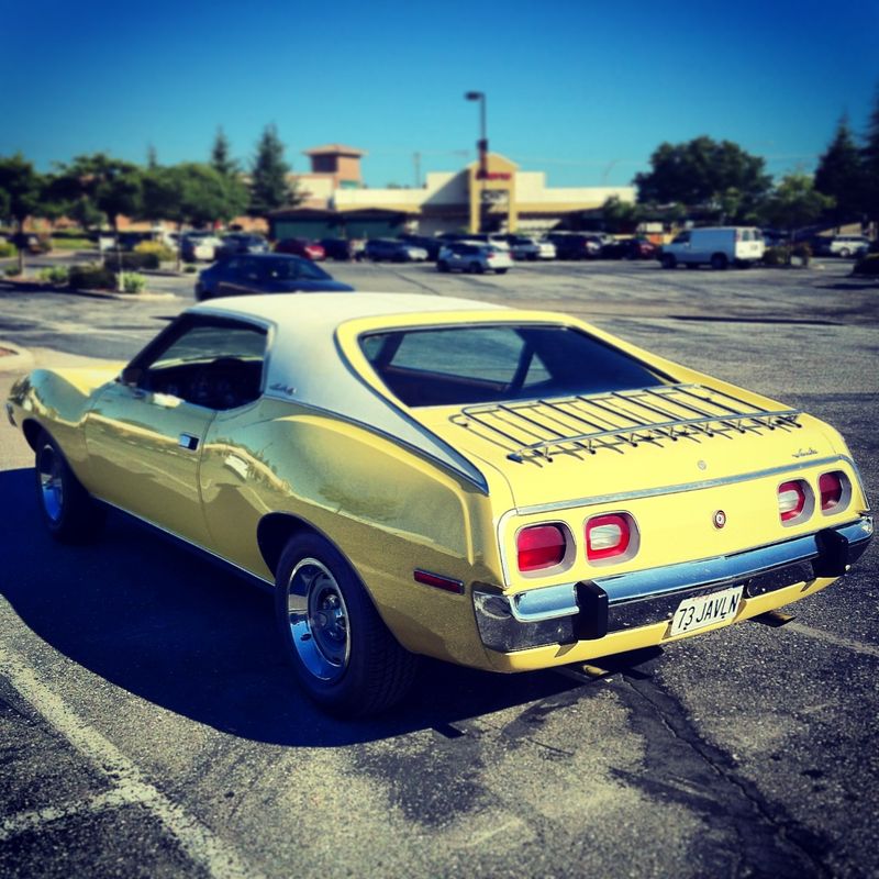 Forum member supplied image with no explanatory text