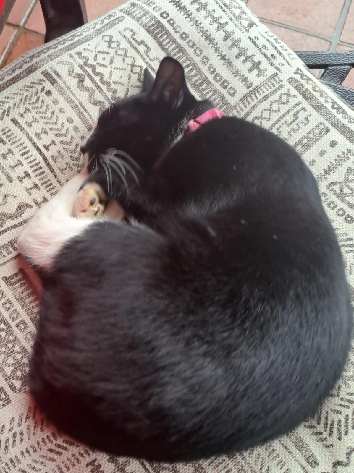 Forum member supplied image with no explanatory text