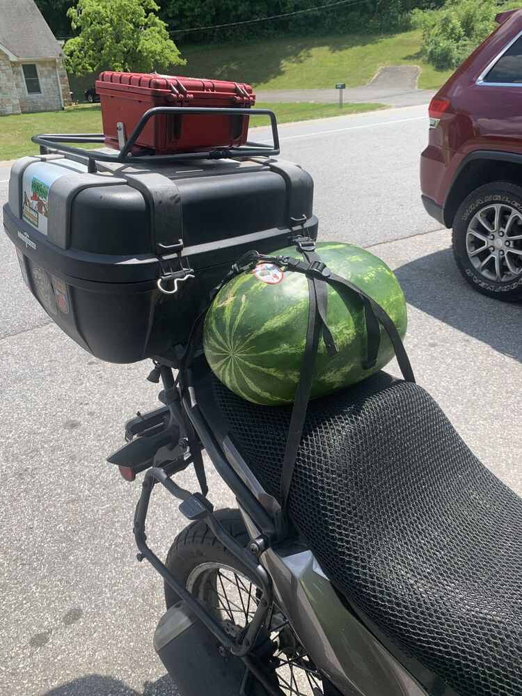 Forum member supplied image with no explanatory text