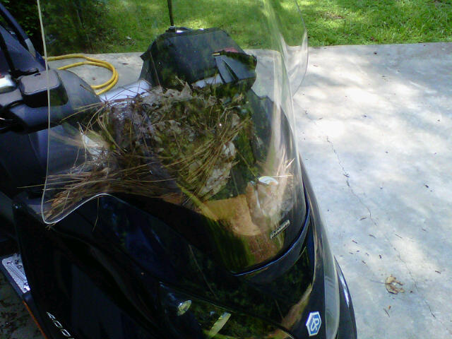 Bird nest tucked in behind windshield.