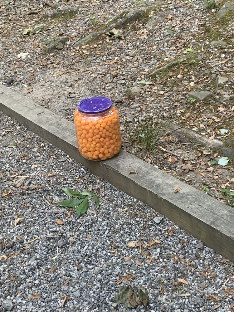 Forum member supplied image with no explanatory text