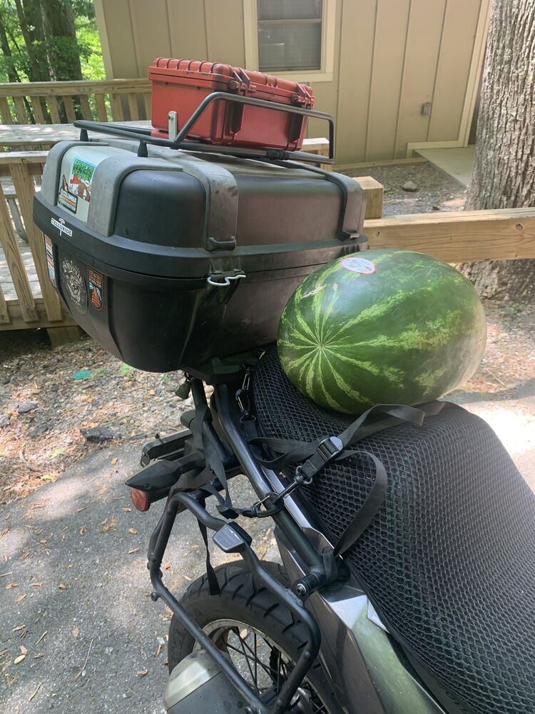 Forum member supplied image with no explanatory text